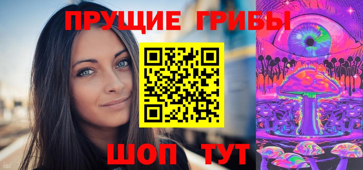 Псилоцибиновые грибы Psilocybe  Вход с VPN  Галлюциногенные грибы мухоморы  Зима 